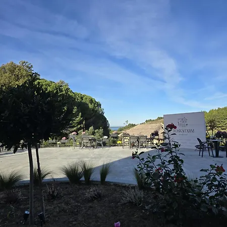 Hotel Toska Farm *