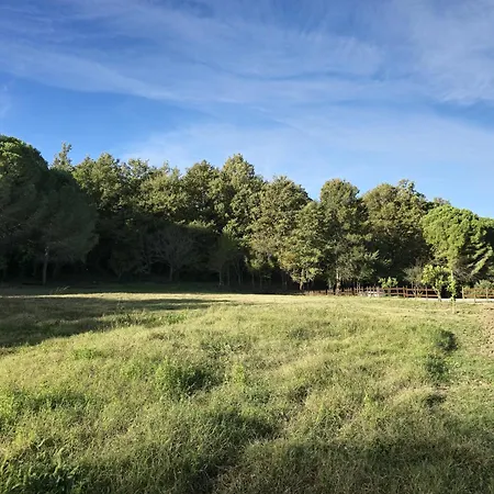 Toska Farm Meci