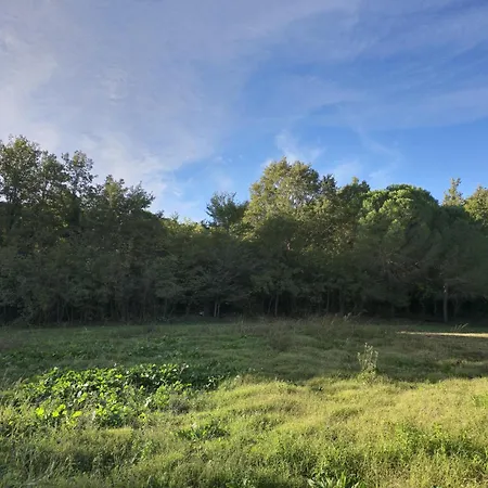 Hotel Toska Farm