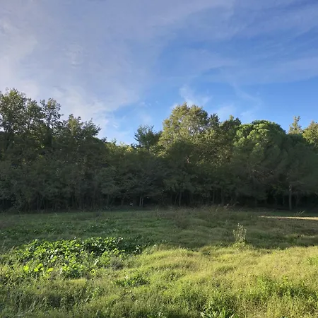 Szálloda Toska Farm