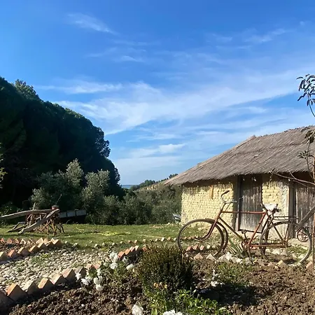 Toska Farm