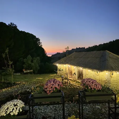 Toska Farm * Divjake