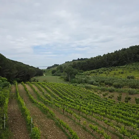 Toska Farm *