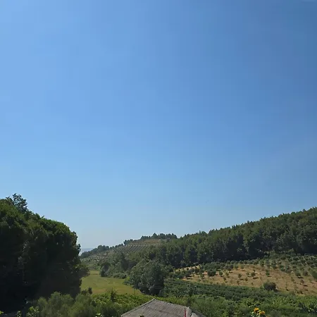 Toska Farm Meci