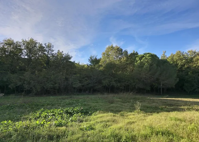מלון Toska Farm